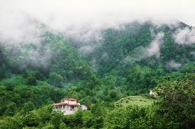 نمونه کار ۳